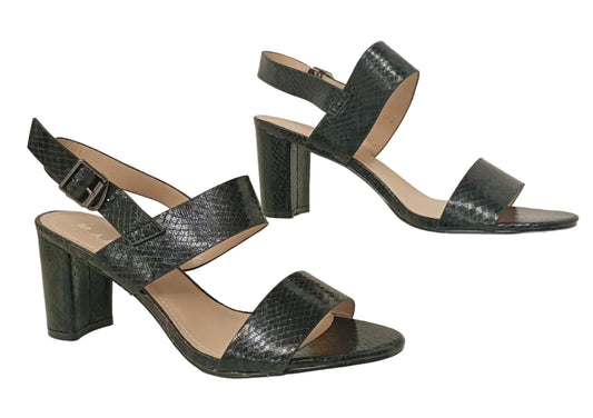 10G864-37E BLACK SNAKE