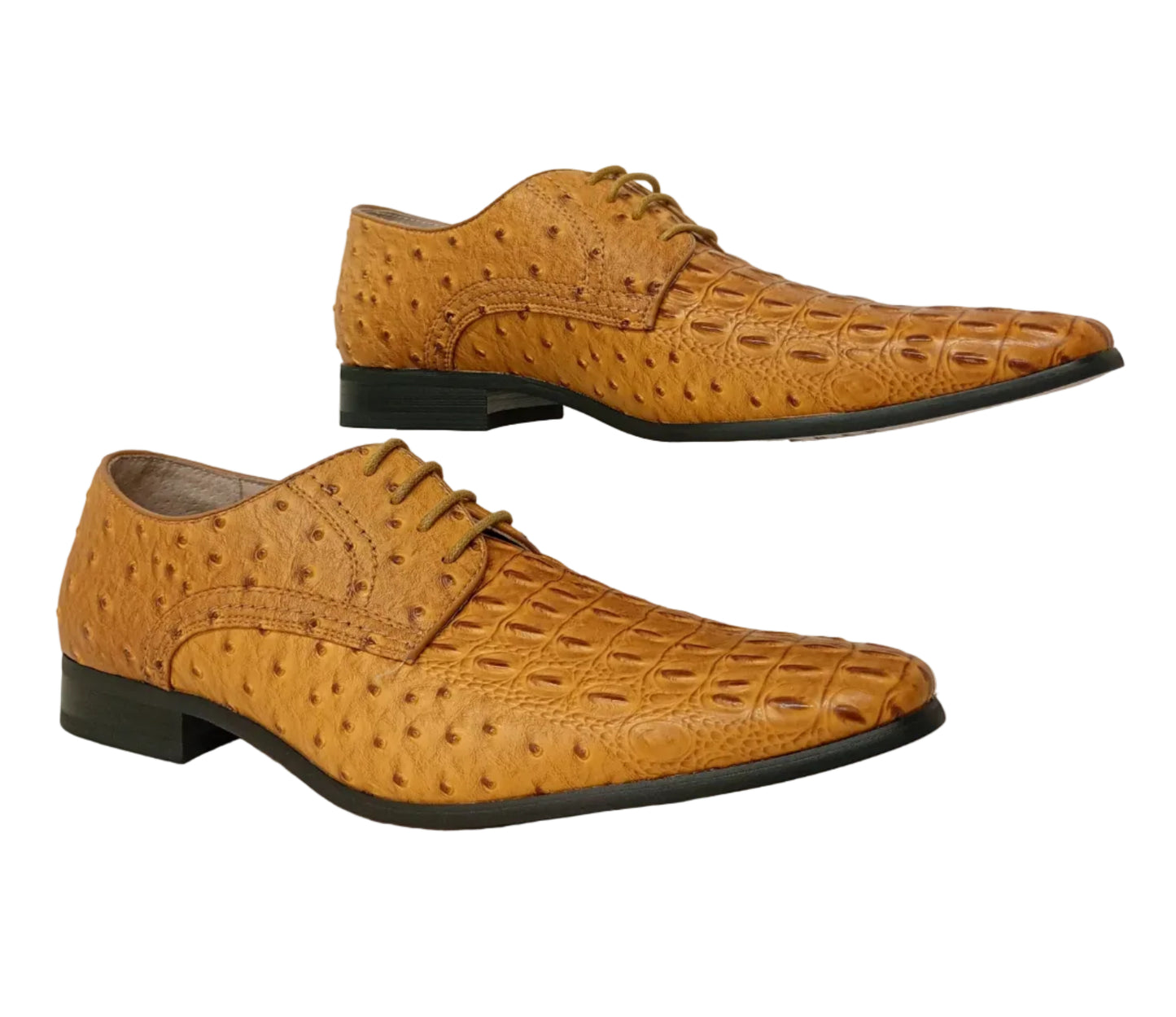 3E032 Camel