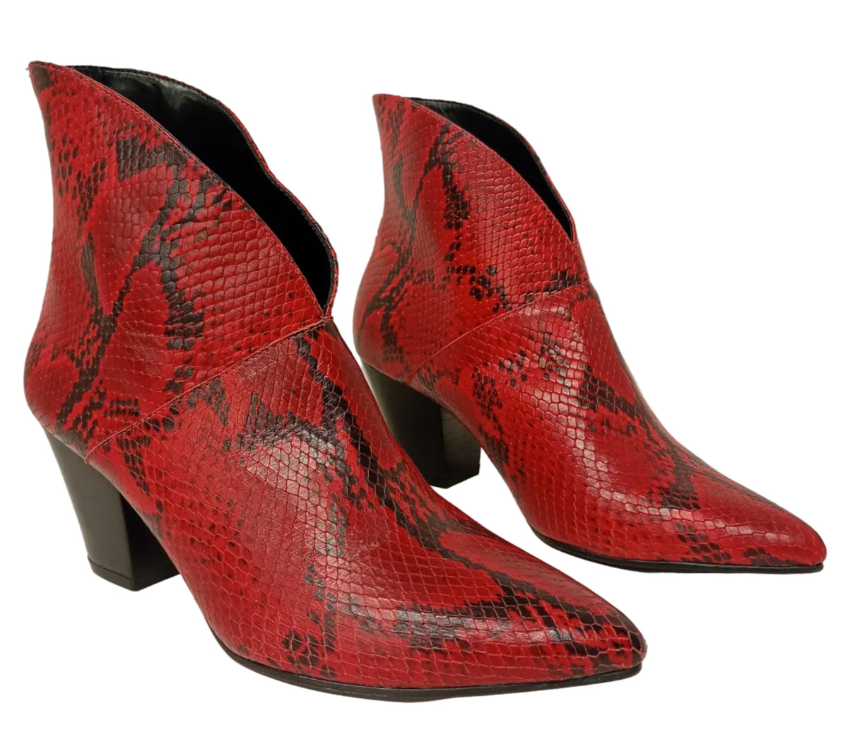 4590006 Anaconda Rubi